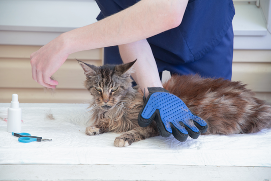 🧤 Pet Grooming Glove – The Easy Way to Keep Your Pet Clean & Happy