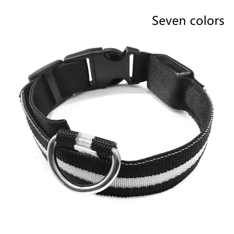 LED Dog Collar for Night Safety – USB Rechargeable Nylon Light-Up Pet Collar