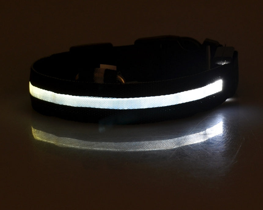 LED Dog Collar for Night Safety – USB Rechargeable Nylon Light-Up Pet Collar