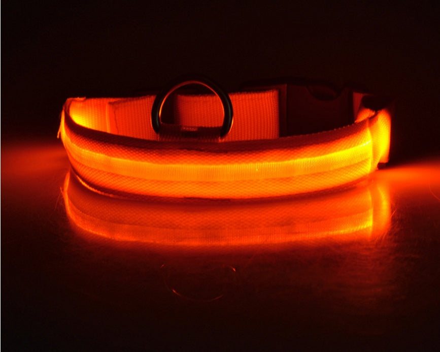 LED Dog Collar for Night Safety – USB Rechargeable Nylon Light-Up Pet Collar