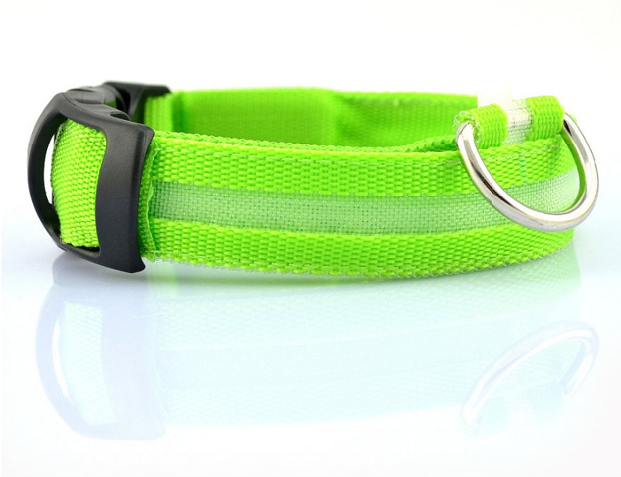 LED Dog Collar for Night Safety – USB Rechargeable Nylon Light-Up Pet Collar