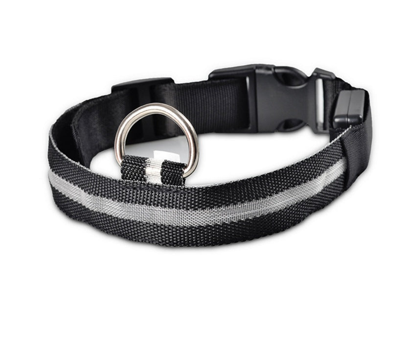 LED Dog Collar for Night Safety – USB Rechargeable Nylon Light-Up Pet Collar