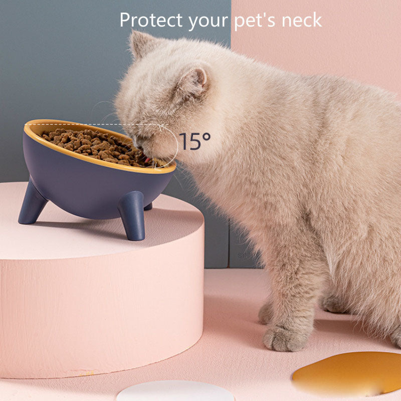 Cat Dog Bowl With Stand Pet Feeding Food
