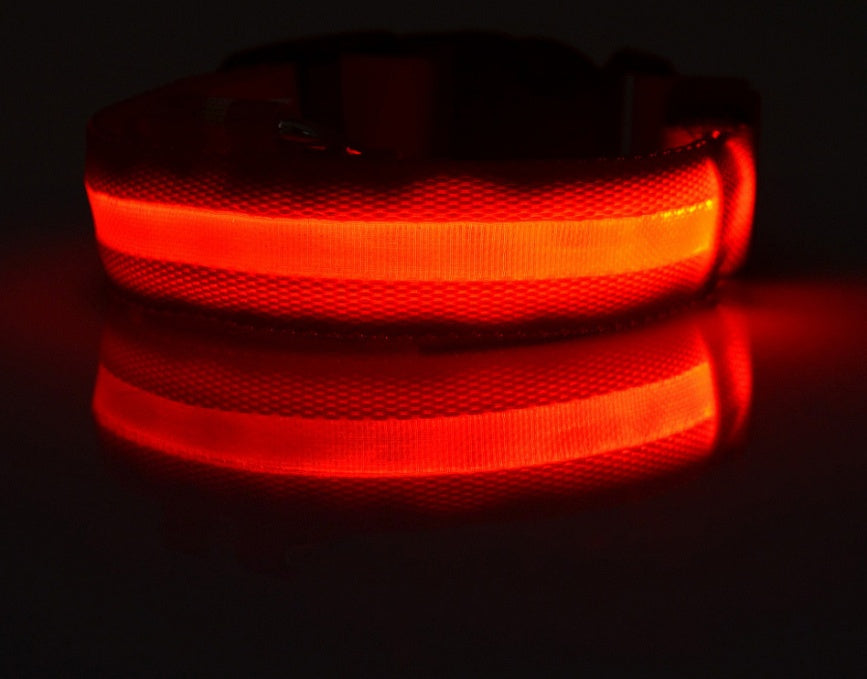 LED Dog Collar for Night Safety – USB Rechargeable Nylon Light-Up Pet Collar