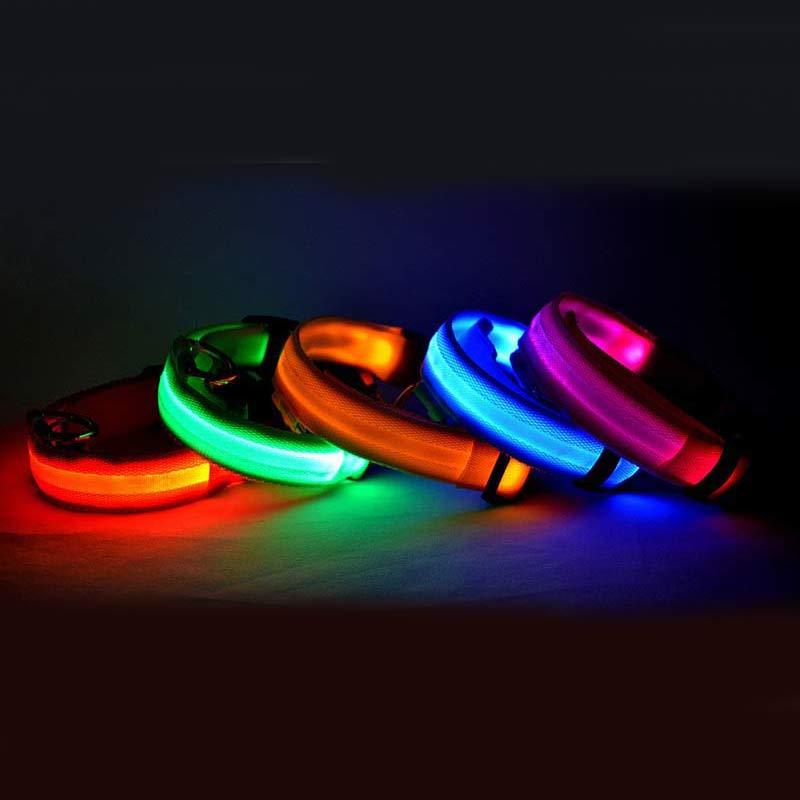LED Dog Collar for Night Safety – USB Rechargeable Nylon Light-Up Pet Collar