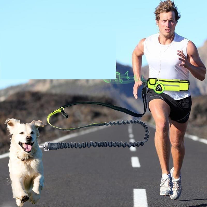 Hands-Free Dog Running Leash with Waist Pocket | Adjustable Jogging Belt for Walking, Running & Training