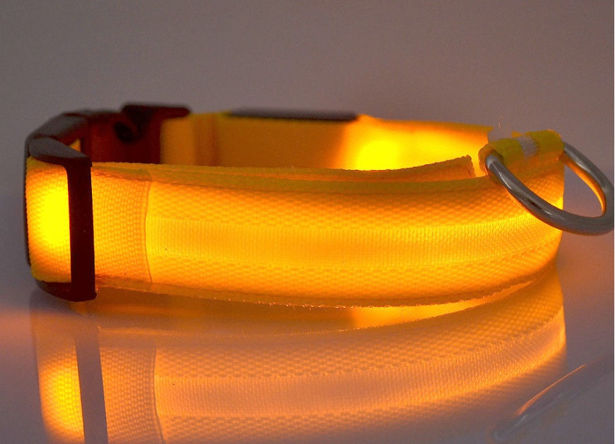 LED Dog Collar for Night Safety – USB Rechargeable Nylon Light-Up Pet Collar
