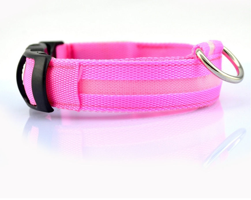 LED Dog Collar for Night Safety – USB Rechargeable Nylon Light-Up Pet Collar