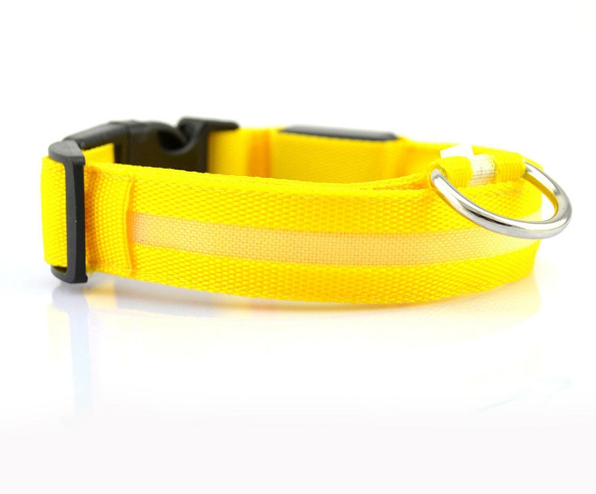 LED Dog Collar for Night Safety – USB Rechargeable Nylon Light-Up Pet Collar