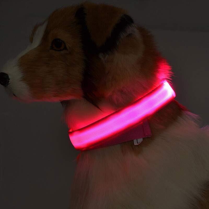 LED Dog Collar for Night Safety – USB Rechargeable Nylon Light-Up Pet Collar