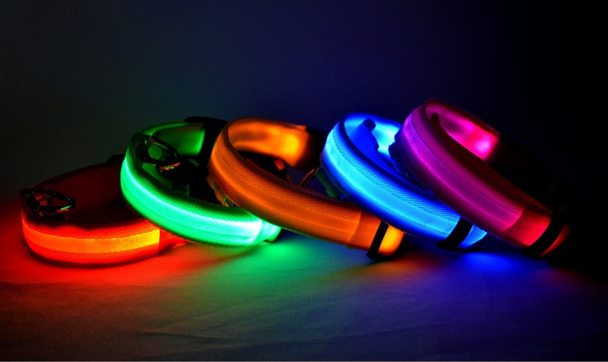 LED Dog Collar for Night Safety – USB Rechargeable Nylon Light-Up Pet Collar