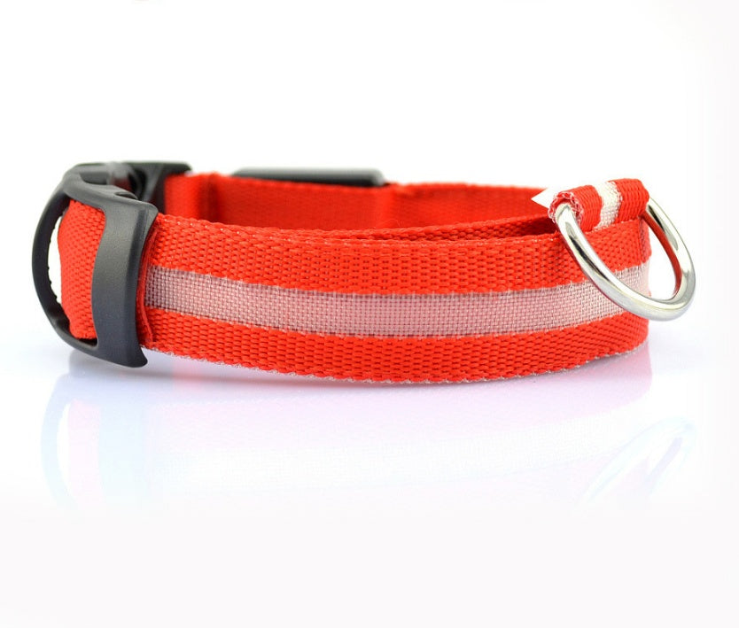 LED Dog Collar for Night Safety – USB Rechargeable Nylon Light-Up Pet Collar