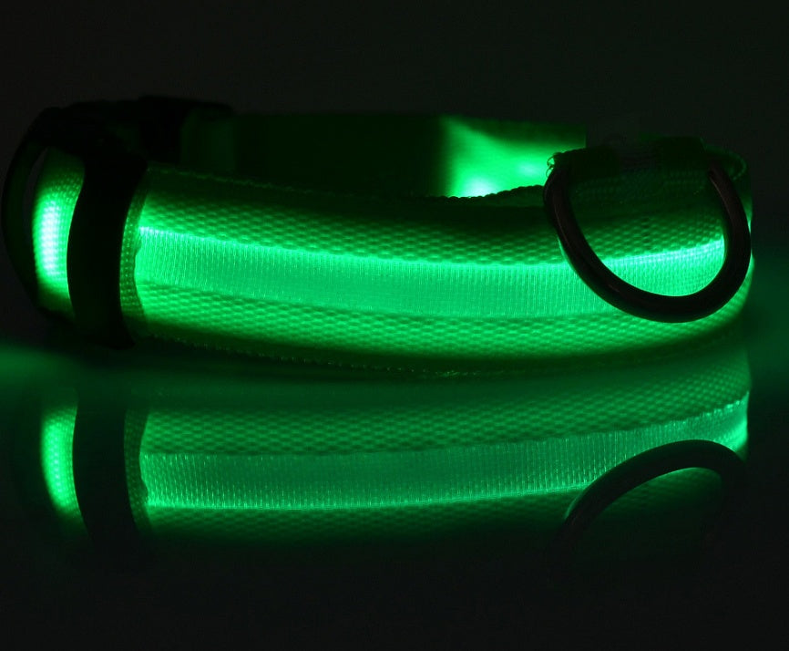 LED Dog Collar for Night Safety – USB Rechargeable Nylon Light-Up Pet Collar