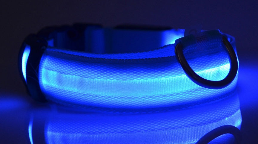 LED Dog Collar for Night Safety – USB Rechargeable Nylon Light-Up Pet Collar
