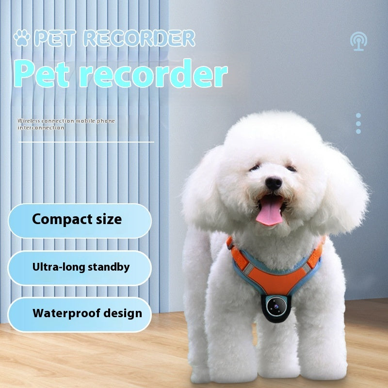 Smart Pet Tracker Collar – GPS & Activity Recorder for Dogs and Cats