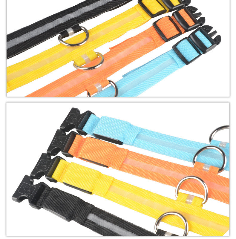 LED Dog Collar for Night Safety – USB Rechargeable Nylon Light-Up Pet Collar