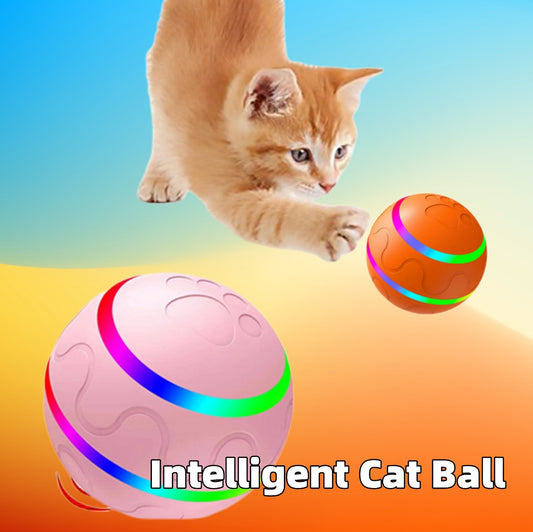 Smart Cat Toy Ball – USB Rechargeable Interactive Pet Wicked Ball