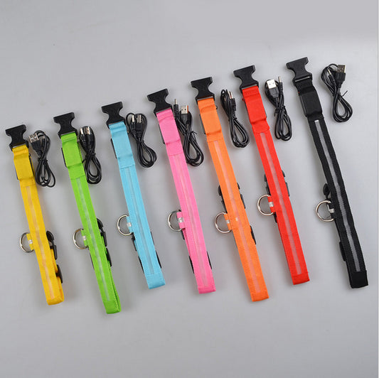 LED Dog Collar for Night Safety – USB Rechargeable Nylon Light-Up Pet Collar