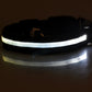 LED Dog Collar for Night Safety – USB Rechargeable Nylon Light-Up Pet Collar