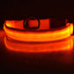 LED Dog Collar for Night Safety – USB Rechargeable Nylon Light-Up Pet Collar