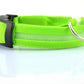 LED Dog Collar for Night Safety – USB Rechargeable Nylon Light-Up Pet Collar