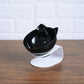 New Inclined Food Cat Single Pet Bowl