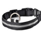 LED Dog Collar for Night Safety – USB Rechargeable Nylon Light-Up Pet Collar