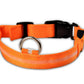 LED Dog Collar for Night Safety – USB Rechargeable Nylon Light-Up Pet Collar