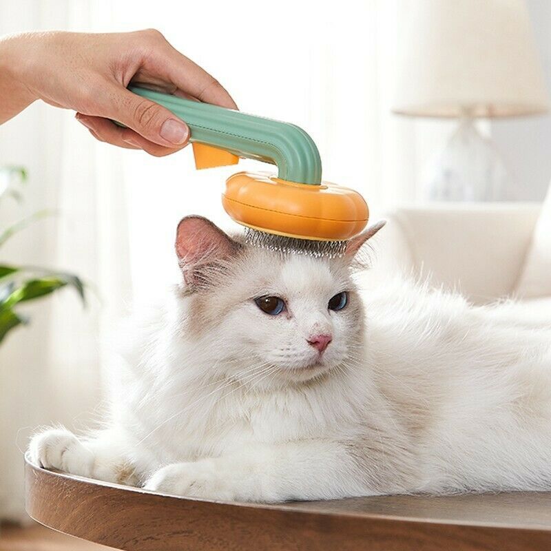 Pet Pumpkin Brush, Pet Grooming Self Cleaning