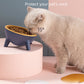 Cat Dog Bowl With Stand Pet Feeding Food