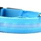 LED Dog Collar for Night Safety – USB Rechargeable Nylon Light-Up Pet Collar