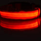 LED Dog Collar for Night Safety – USB Rechargeable Nylon Light-Up Pet Collar