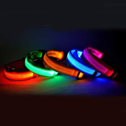 LED Dog Collar for Night Safety – USB Rechargeable Nylon Light-Up Pet Collar