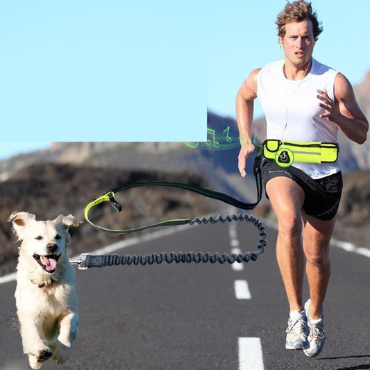 Hands-Free Dog Running Leash with Waist Pocket | Adjustable Jogging Belt for Walking, Running & Training