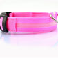 LED Dog Collar for Night Safety – USB Rechargeable Nylon Light-Up Pet Collar
