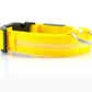 LED Dog Collar for Night Safety – USB Rechargeable Nylon Light-Up Pet Collar
