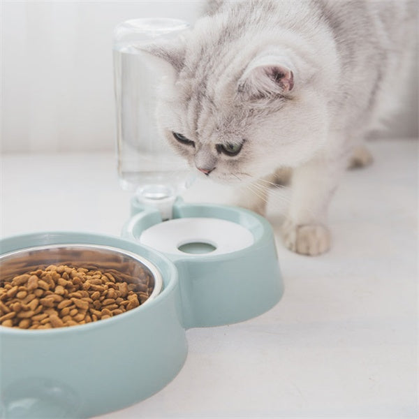 Dog bowl automatic water refill bowl