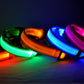 LED Dog Collar for Night Safety – USB Rechargeable Nylon Light-Up Pet Collar