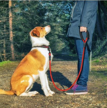 Reflective Nylon Dog Leash – Durable Pet Walking Rope for Small, Medium & Large Dogs