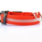 LED Dog Collar for Night Safety – USB Rechargeable Nylon Light-Up Pet Collar