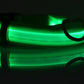 LED Dog Collar for Night Safety – USB Rechargeable Nylon Light-Up Pet Collar