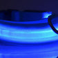 LED Dog Collar for Night Safety – USB Rechargeable Nylon Light-Up Pet Collar