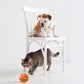 Pet New Cat Wicked Ball Toy Intelligent Ball USB