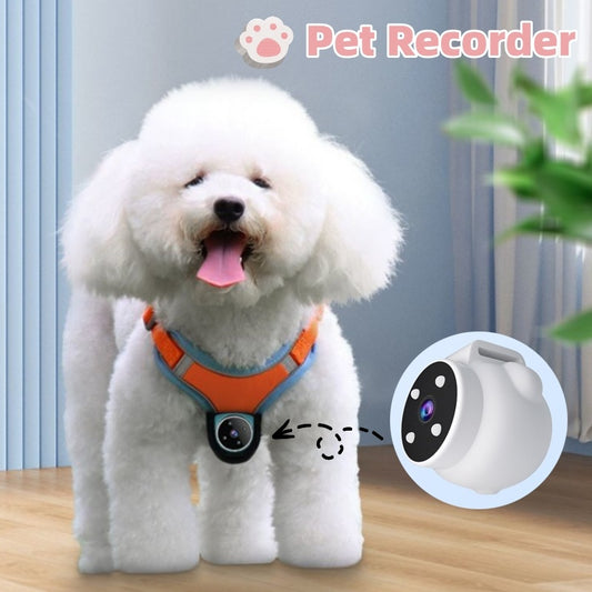 Smart Pet Tracker Collar – GPS & Activity Recorder for Dogs and Cats